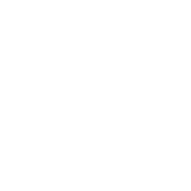 sobreviver.pt